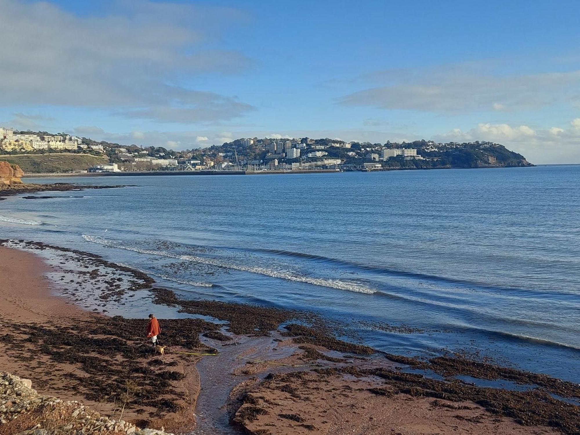 The Seaview Suites At The Corbyn Apartments Torquay Værelse billede